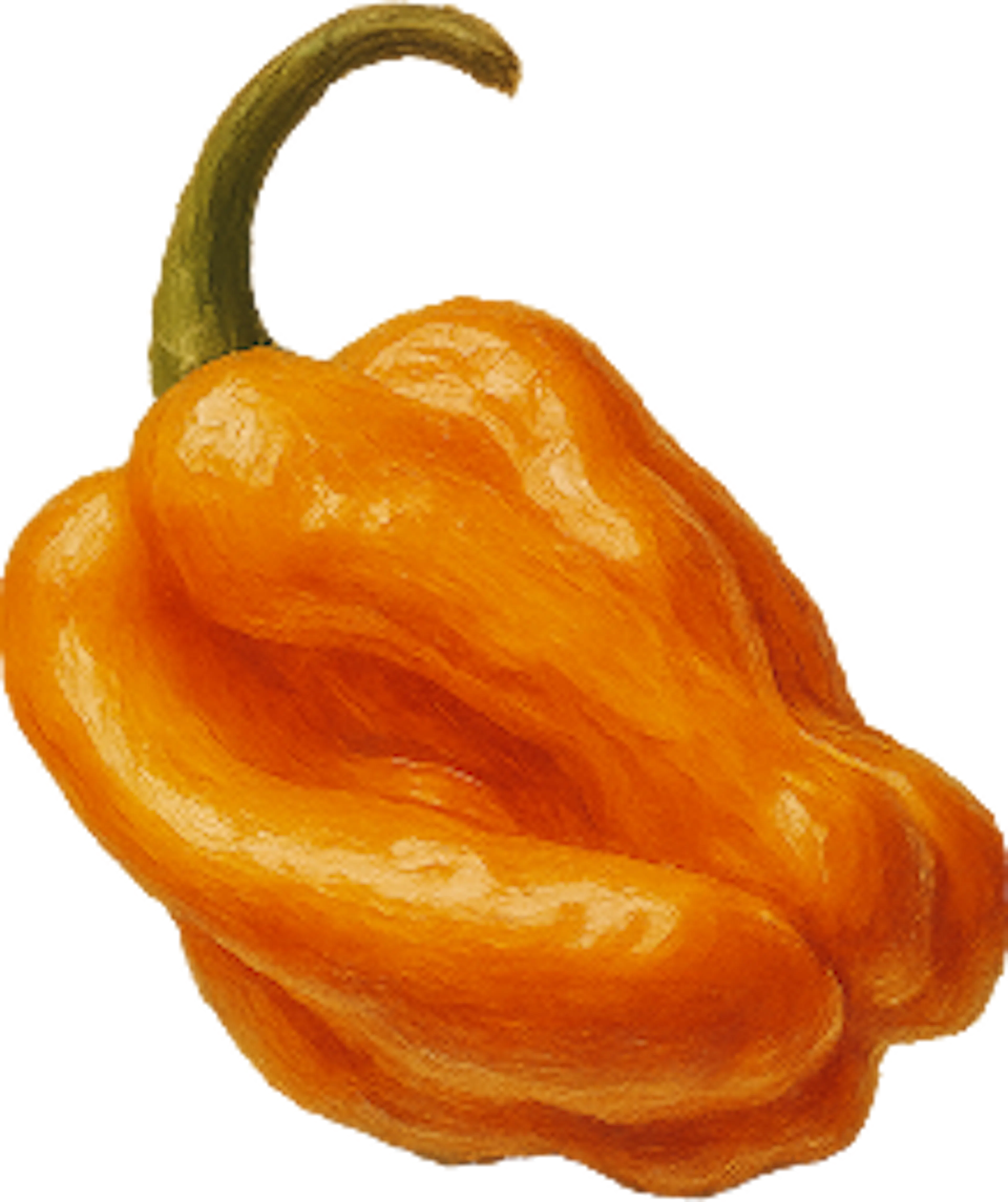 habanero