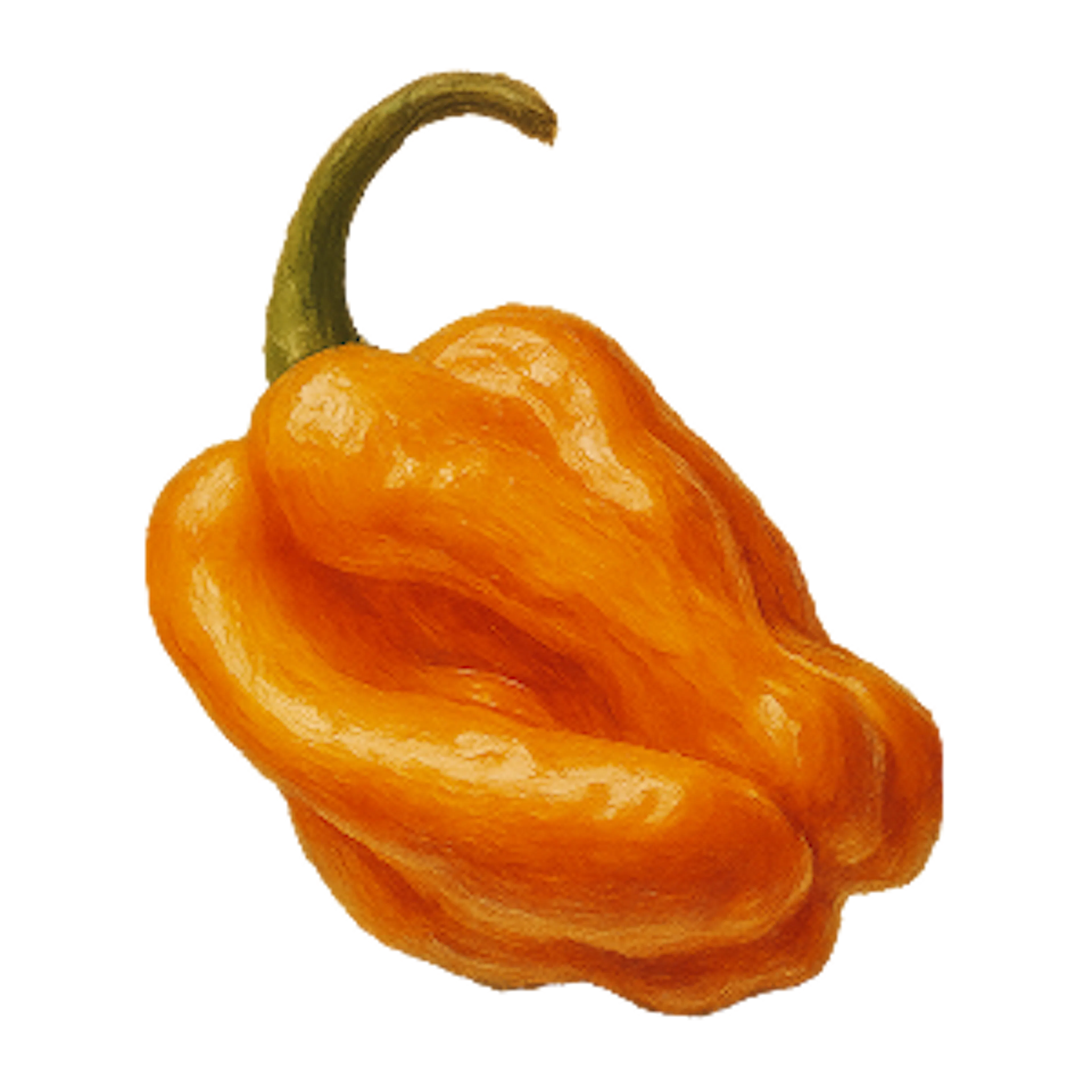 habanero