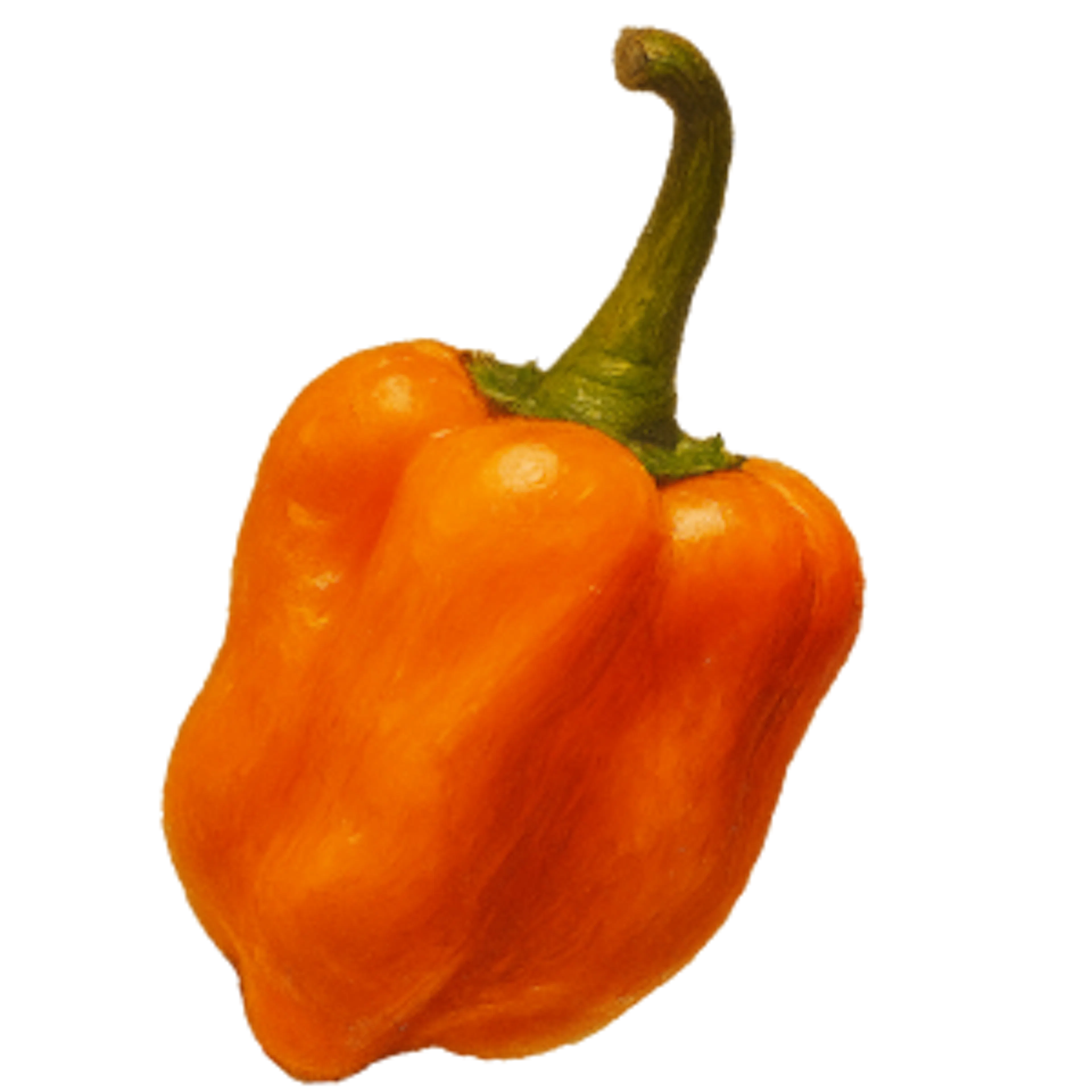 habanero