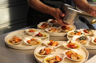 Image of scallops presented on a plate