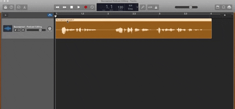 Grabbing audio track in Garageband