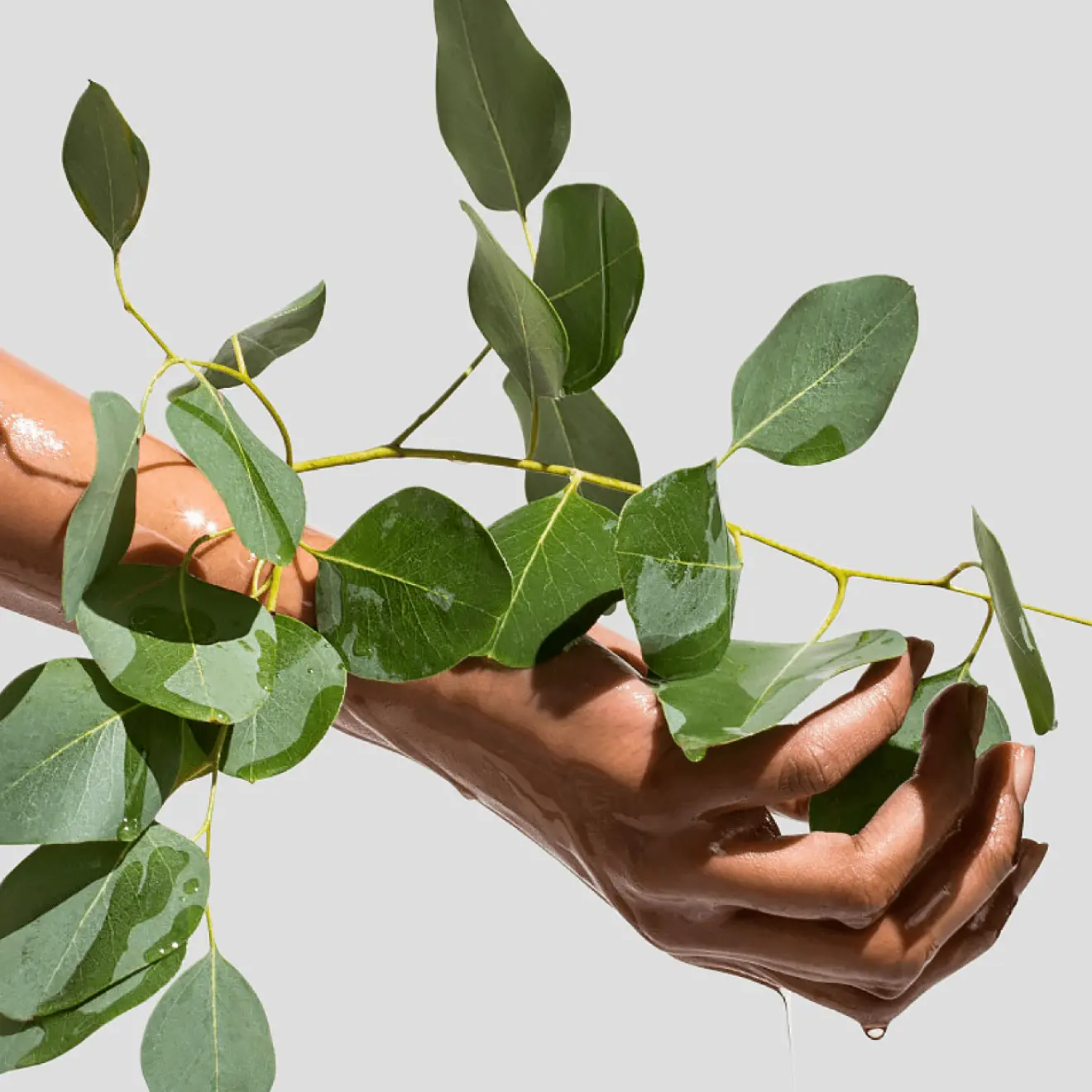 Helias oils image of hand holding herbs