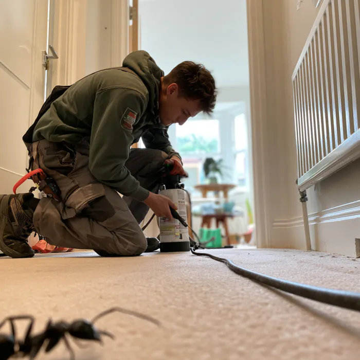 scottjones pest control going through a home in the UK 09fecbc0 68ff 4338 b2e2 3f1aa4b12a35