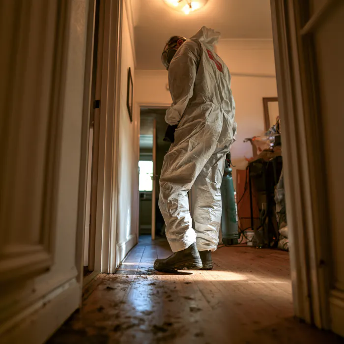 scottjones pest control going through a home in the UK 5200a492 6cd8 4dba a152 e7a9f38525bd