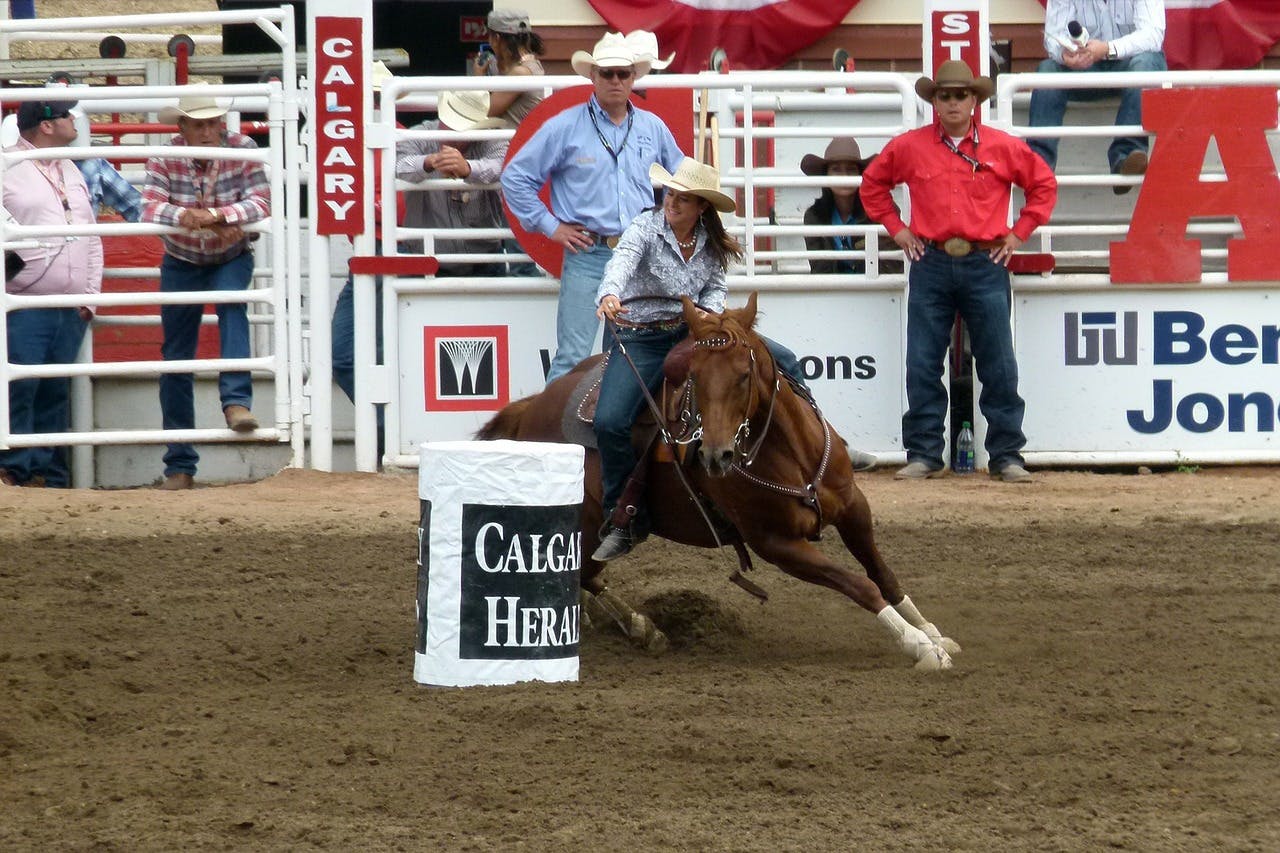 Barrel racing at the Calgary Stampede