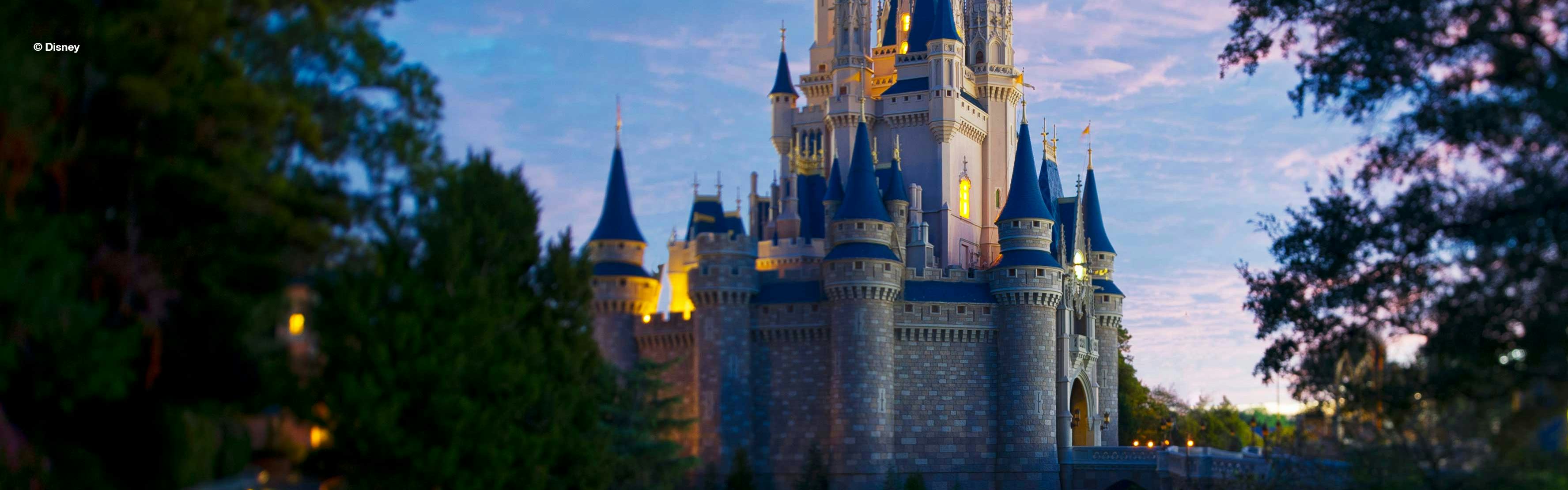 Walt Disney World Resort's Magic Kingdom Castle 