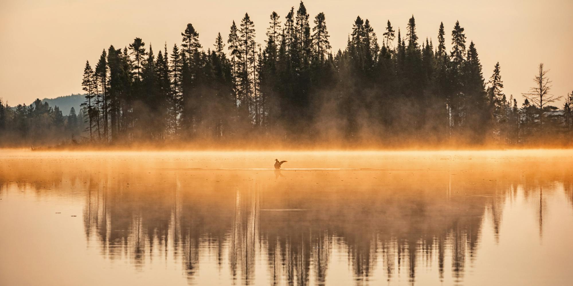 Misty Sunrise at Lake in Algonquin Provincial Park Ontario Canada stock photo