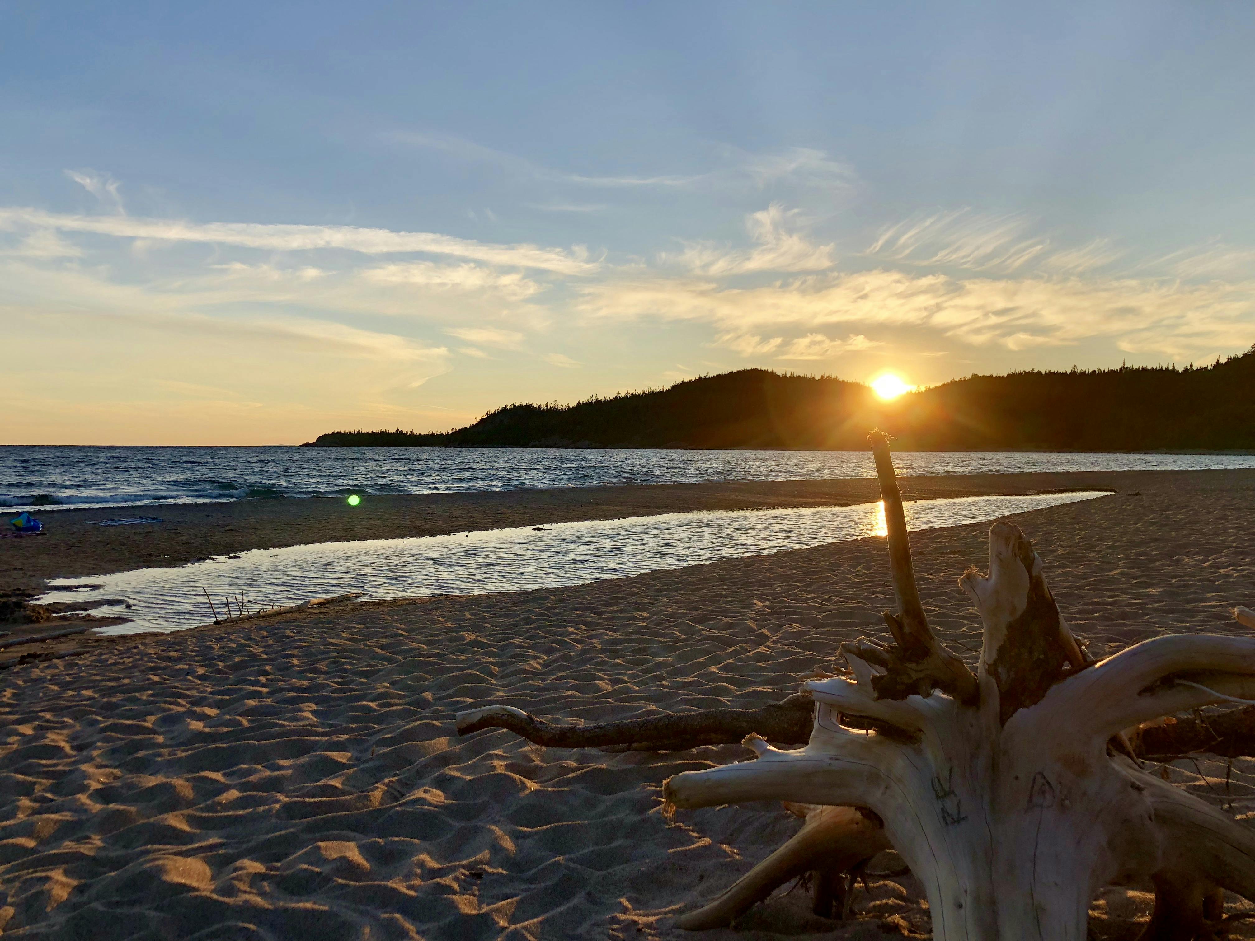 Driftwood on beach at sunset