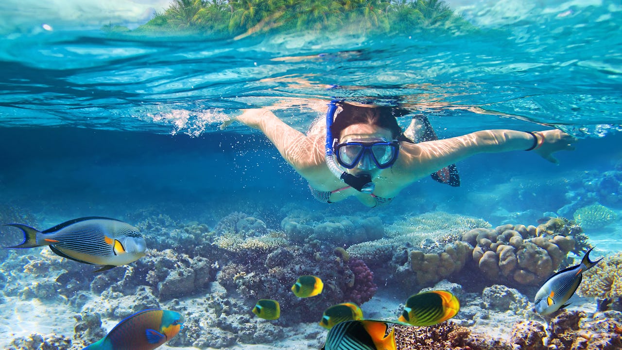 Woman snorkeling in the tropical waters of the Caribbean