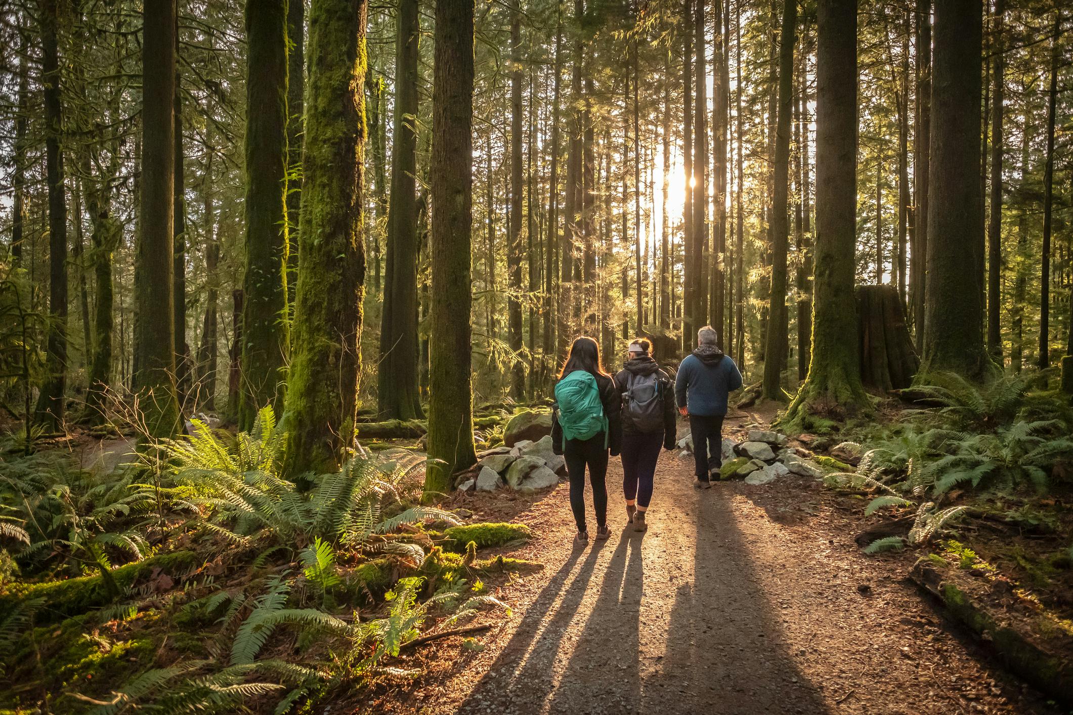 Hiking Trails