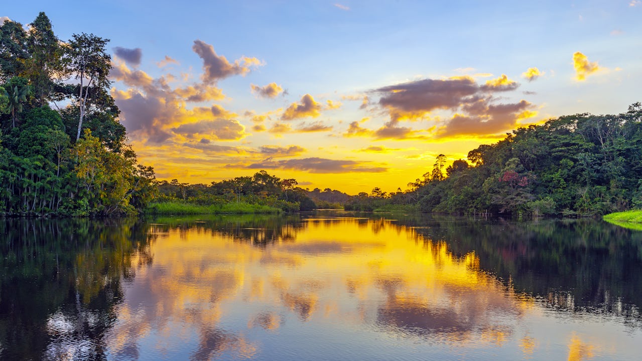 Amazon Rainforest Sunset, Ecuador 