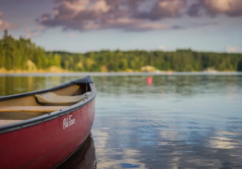 Algonquin park