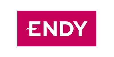 Endy logo