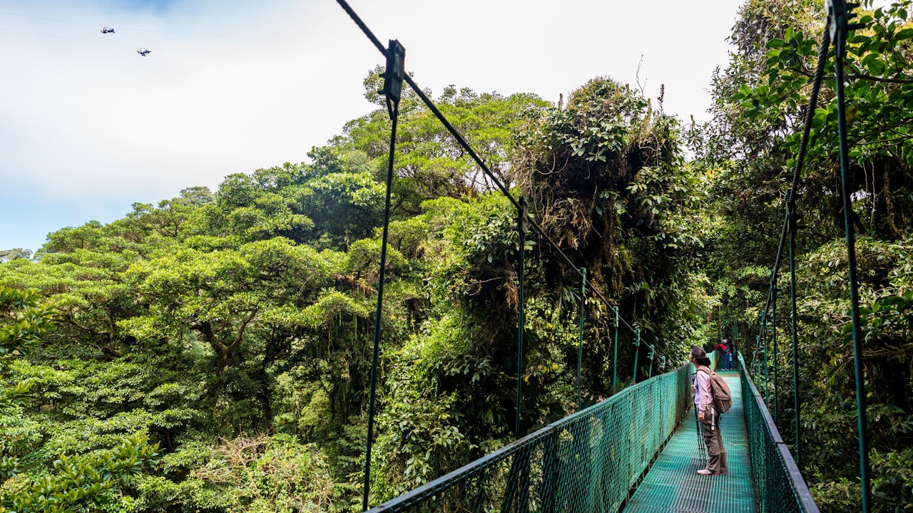 Hiker on suspension bridge in Costa Rica 