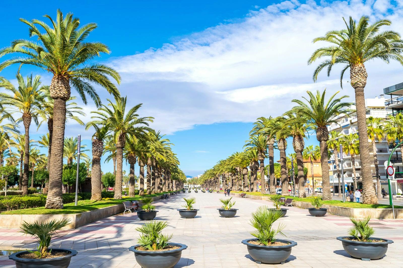 A serene park in Salou with lush greenery, colorful flowers, and a tranquil atmosphere.