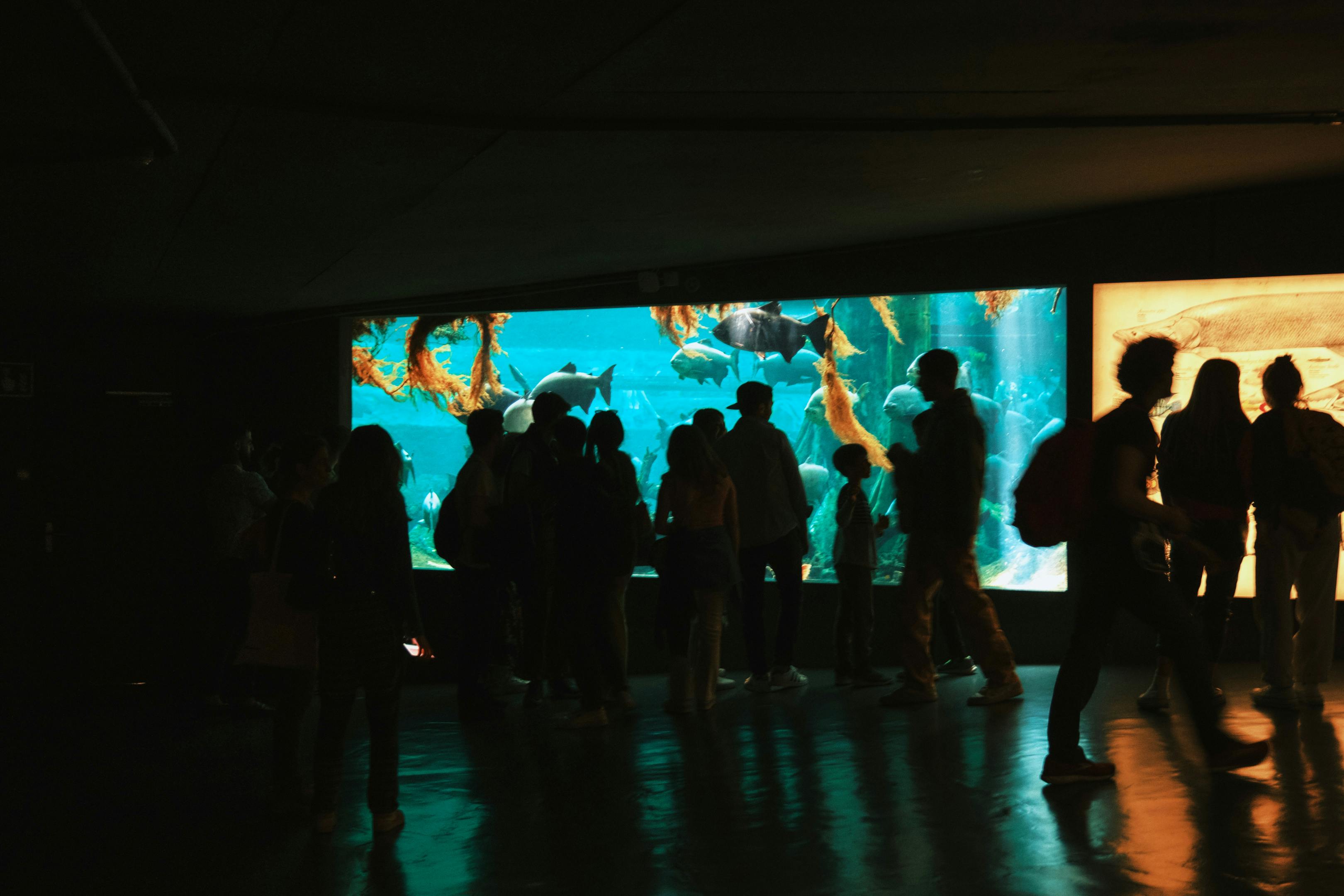 People standing at CosmoCaixa Barcelona, where adults and kids alike enjoy an immersive experience.