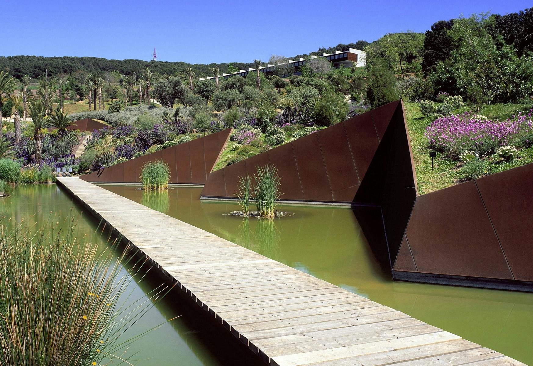 A wooden walkway beside a pond at Jardí Botànic de Barcelona.