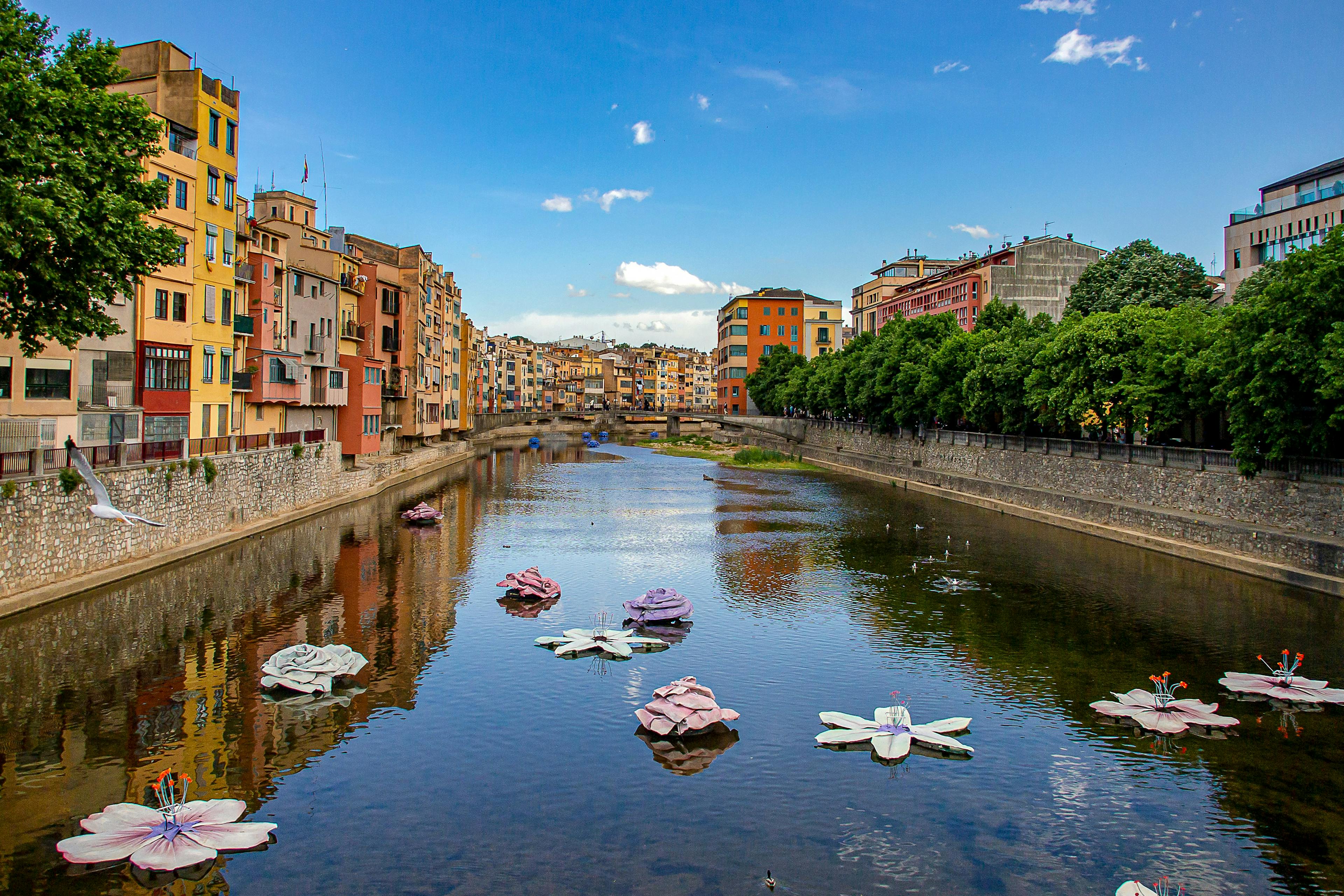 El río Girona adornado con flores flotantes, creando una pintoresca escena de belleza natural.