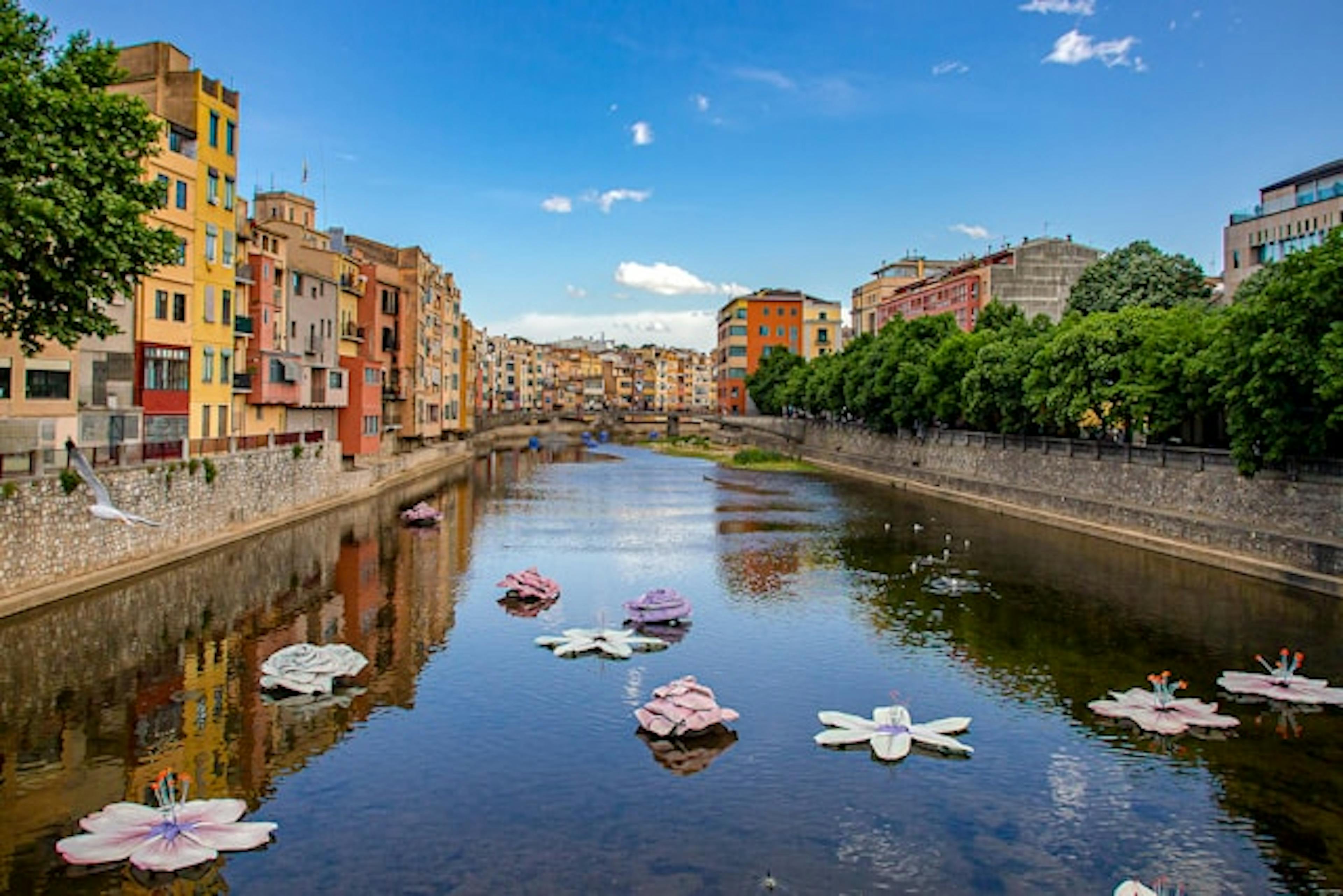 Girona river adorned with floating flowers, creating a picturesque scene of natural beauty.