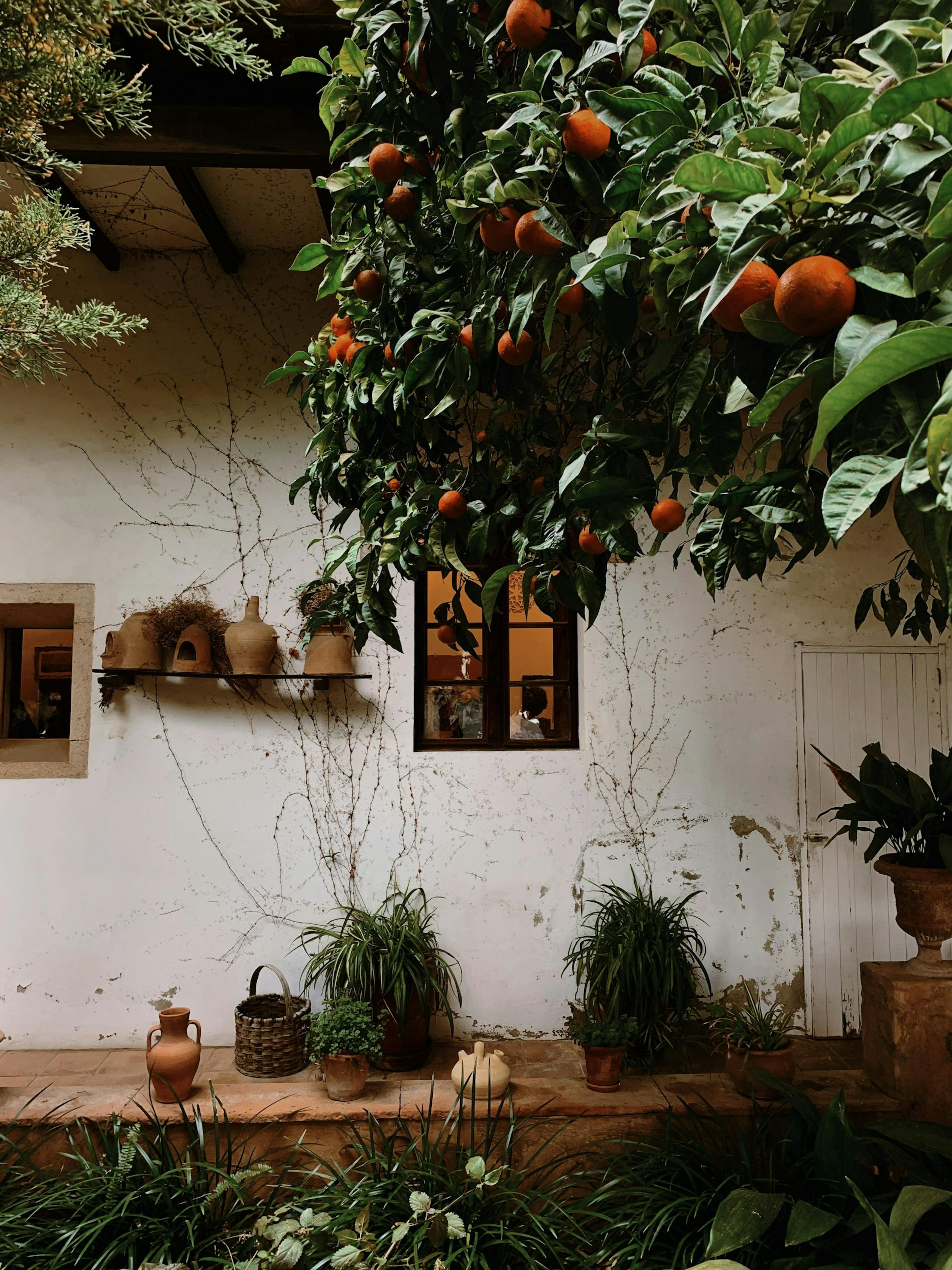 Valldemossa, Mallorca