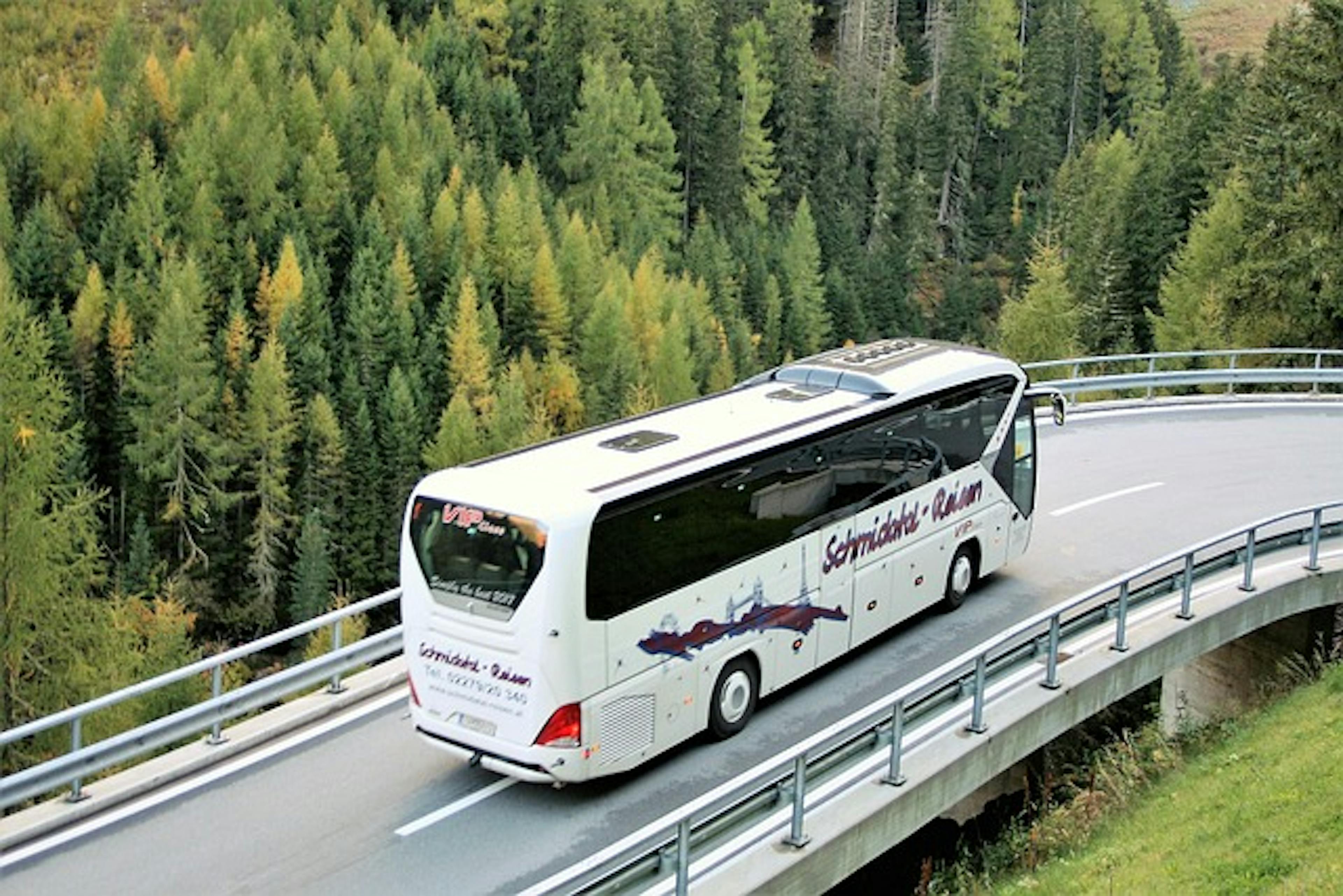  A bus moving along a forested road in the countryside.