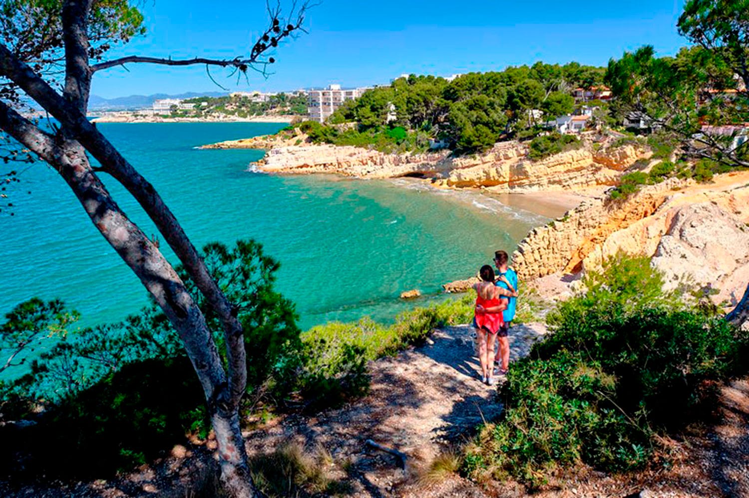 A hiker enjoying a coastal trail, surrounded by nature's beauty and the vastness of the ocean.