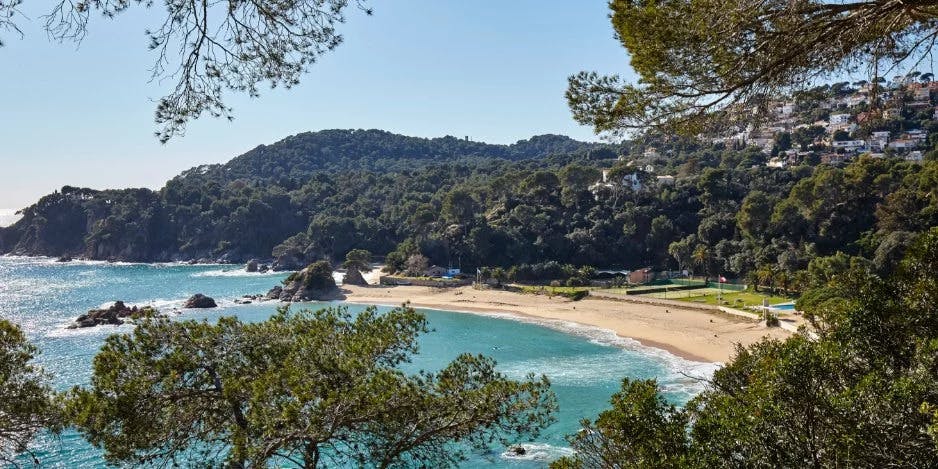 Beautiful beach with trees on the hillside.