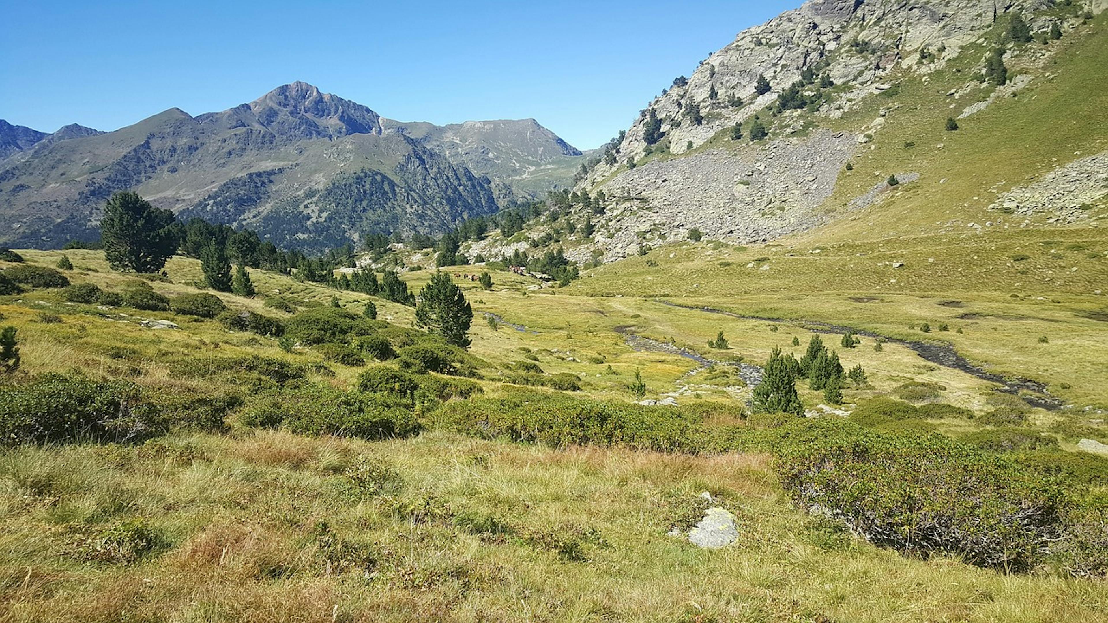 Scenic Andorran valley nestled in the mountains with lush green grass and trees.