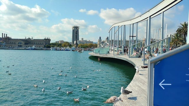 A serene walkway at Port Vell, with birds perched on it, extends over the water.