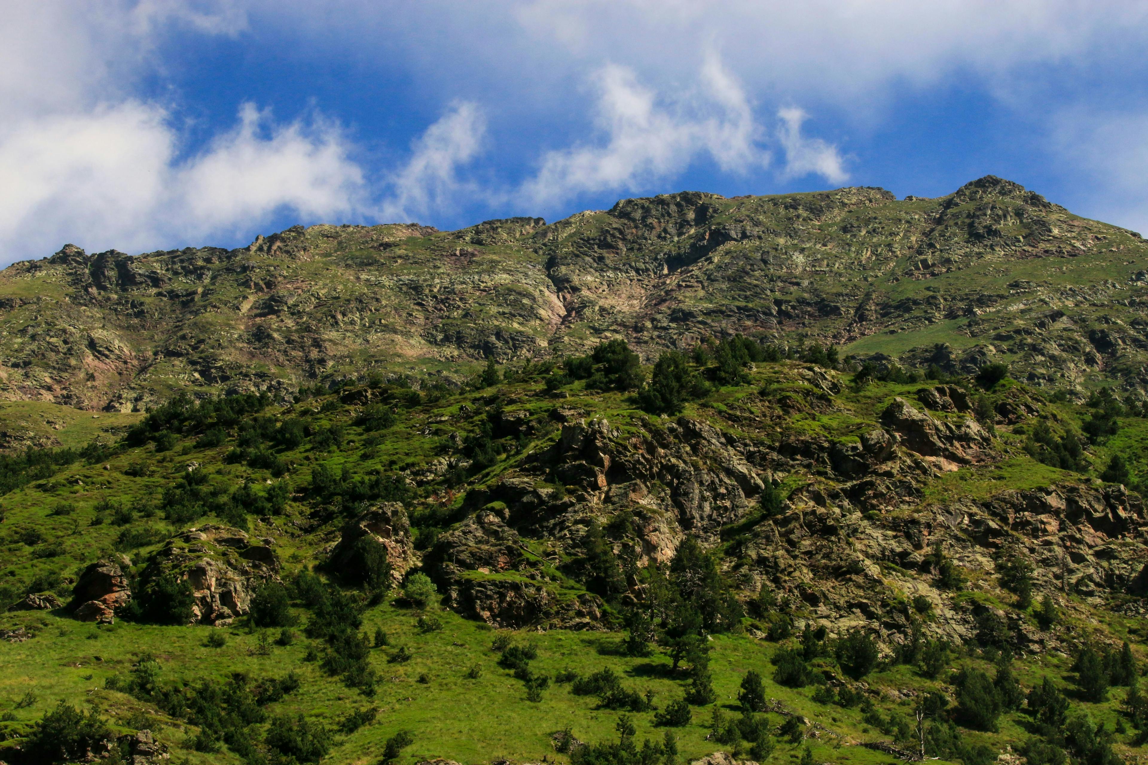 Un paysage montagneux pittoresque à Ordino, Andorre, orné de luxuriants arbres verts.