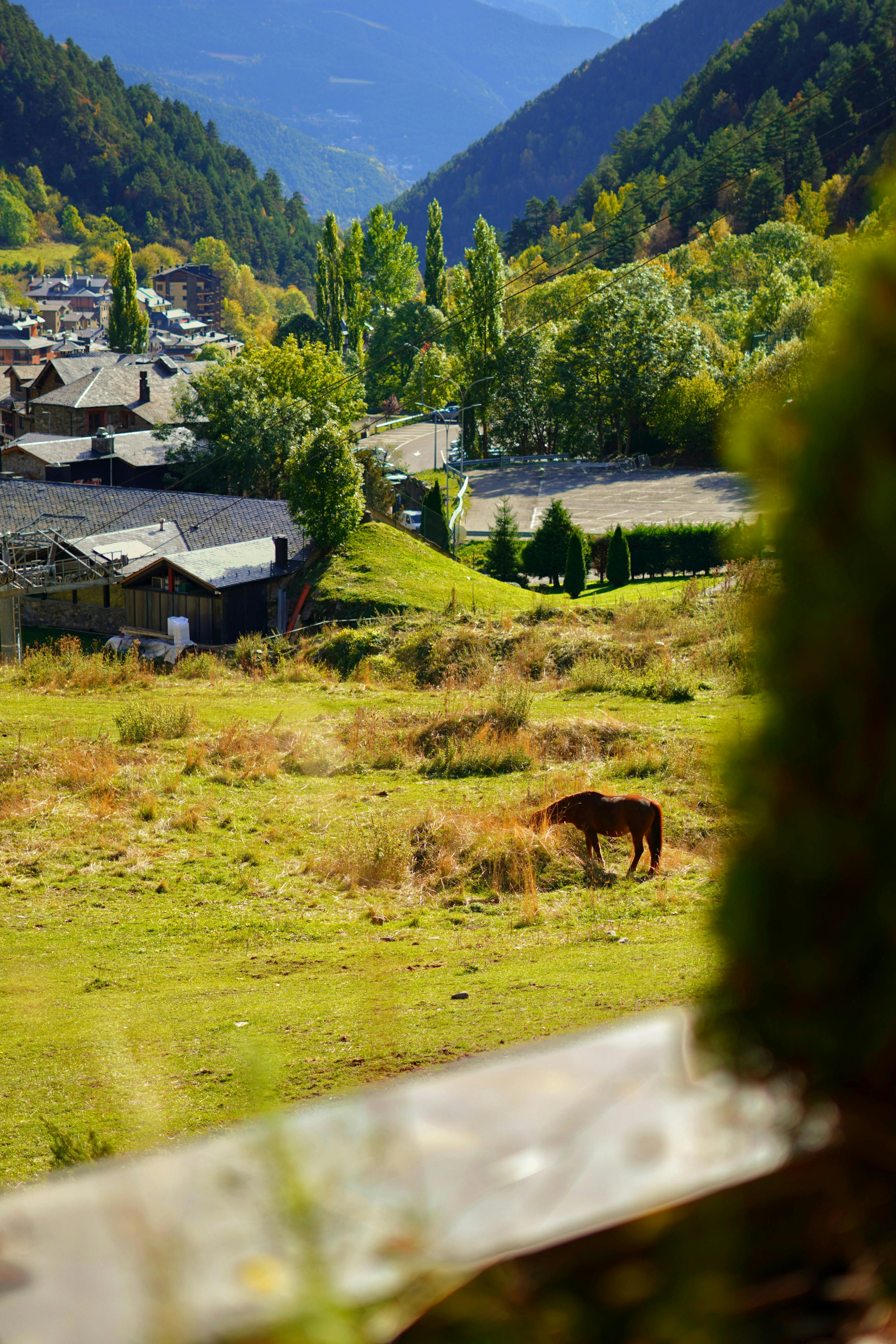 Un cheval broutant paisiblement dans un champ en Andorre.