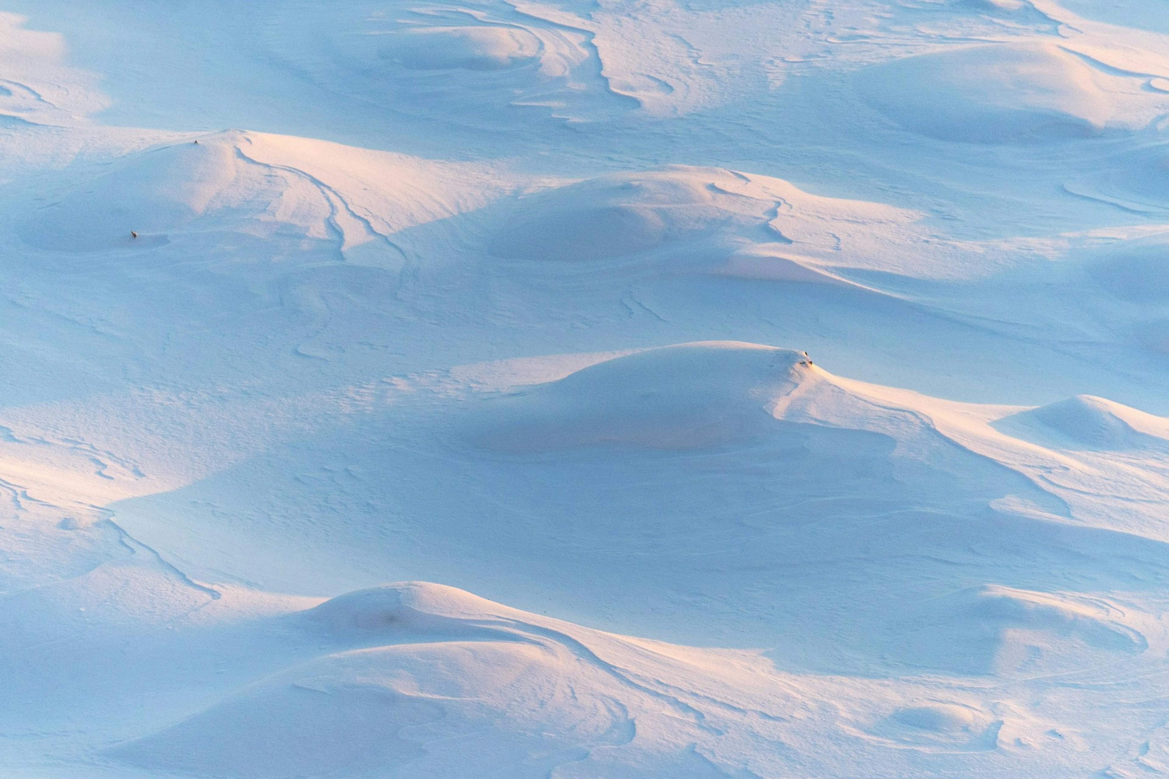 A snow-covered hill in Masella.