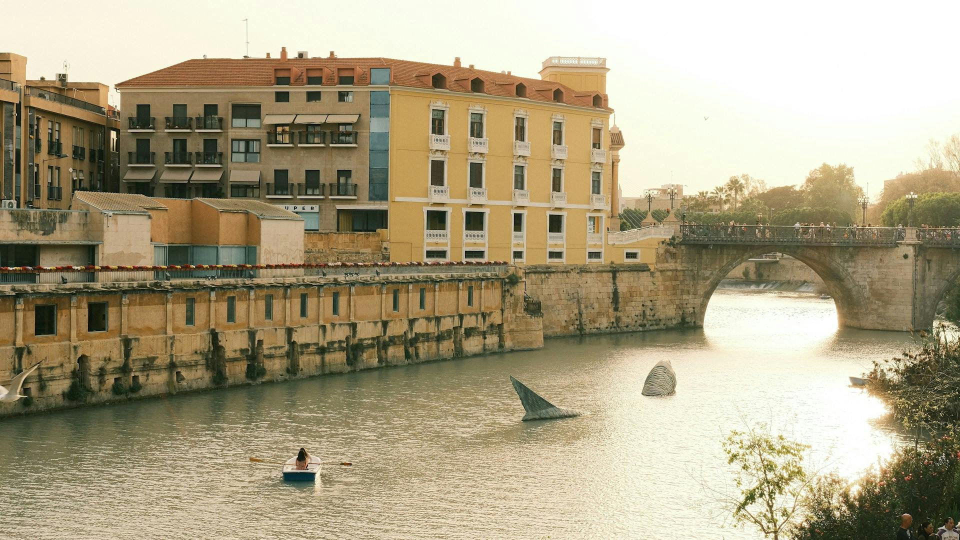 A scenic view of a river in Murcia, featuring a bridge gracefully arching over the water.