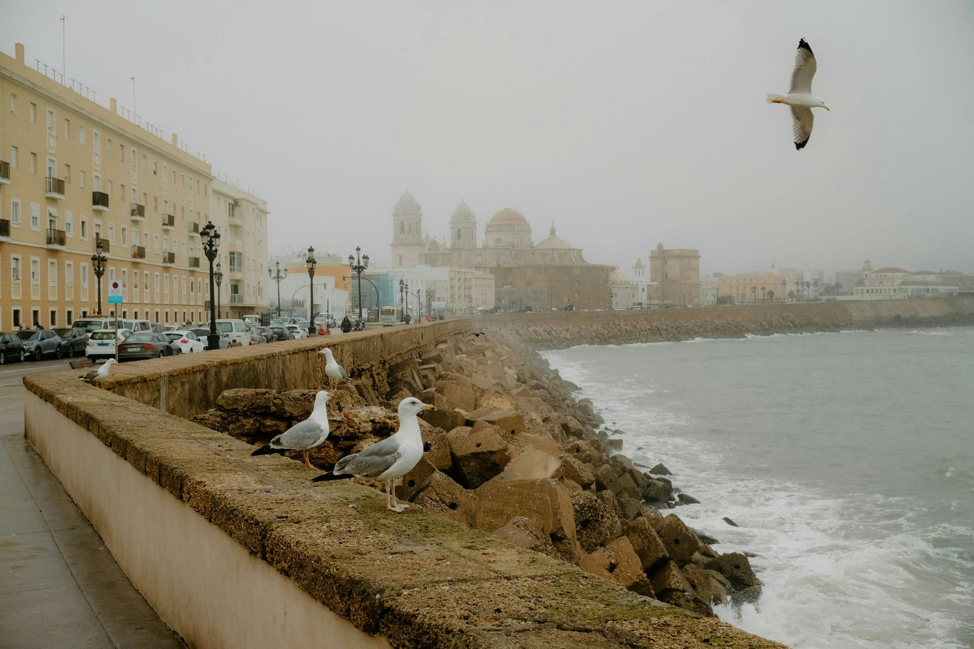 A panoramic view of Cadiz showcasing its historic architecture and coastal scenery.