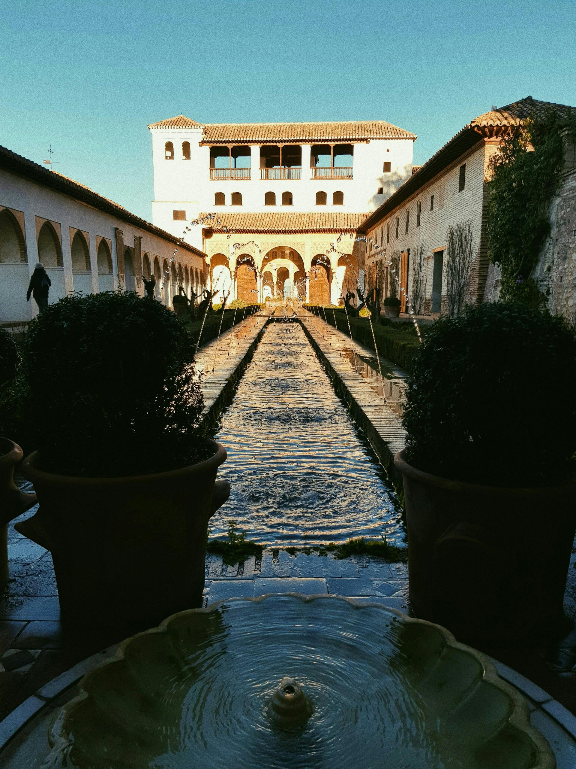 Un patio serein à Grenade avec un point d'eau décoratif entouré d'une verdure luxuriante et de plantes vibrantes.