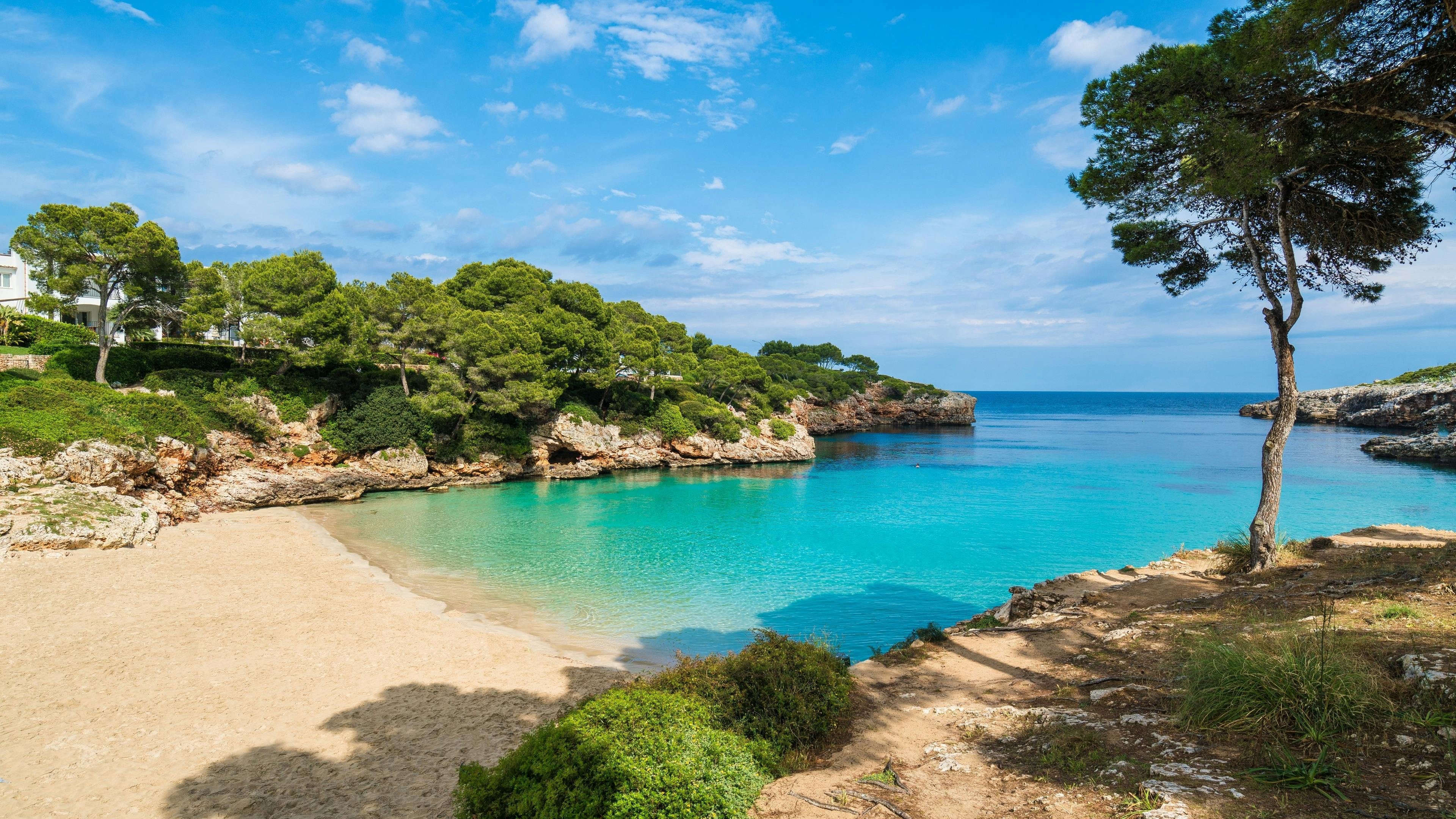 A stunning view of Cala d’Or beach in Mallorca, Spain, featuring golden sands and crystal-clear turquoise waters.