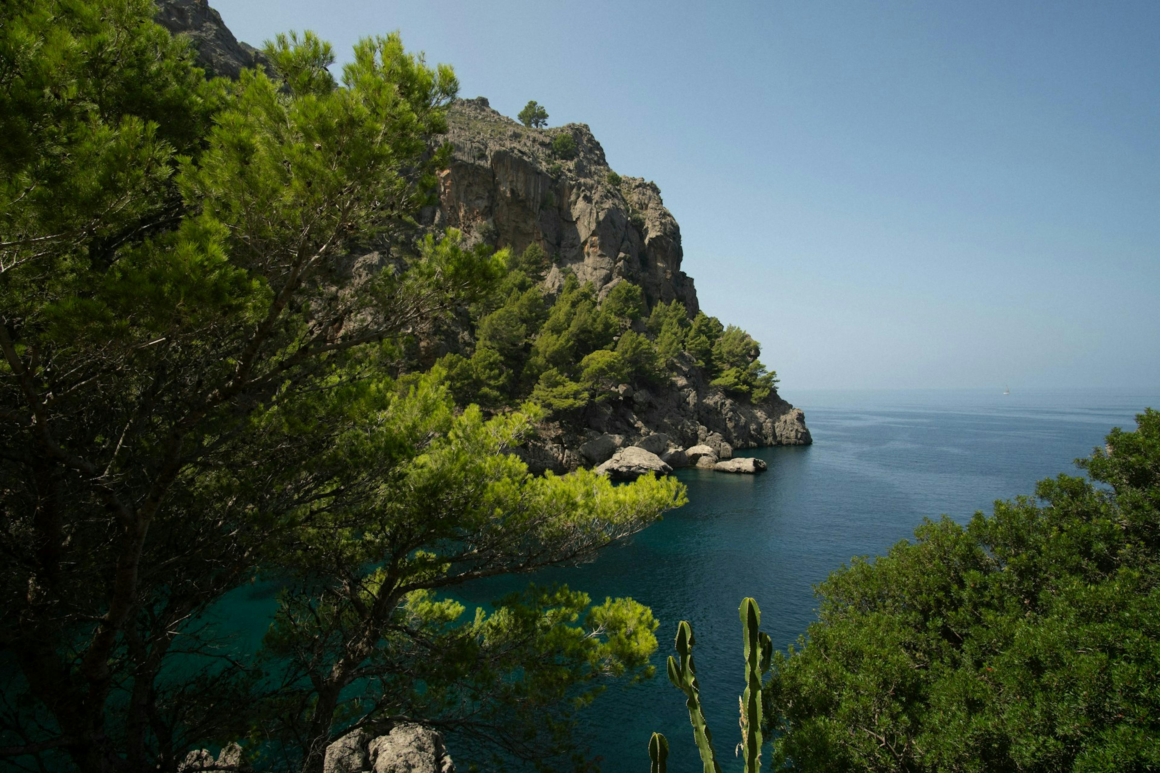 A breathtaking view of the ocean from a cliff in Mallorca, showcasing the vibrant blue waters and rugged coastline.