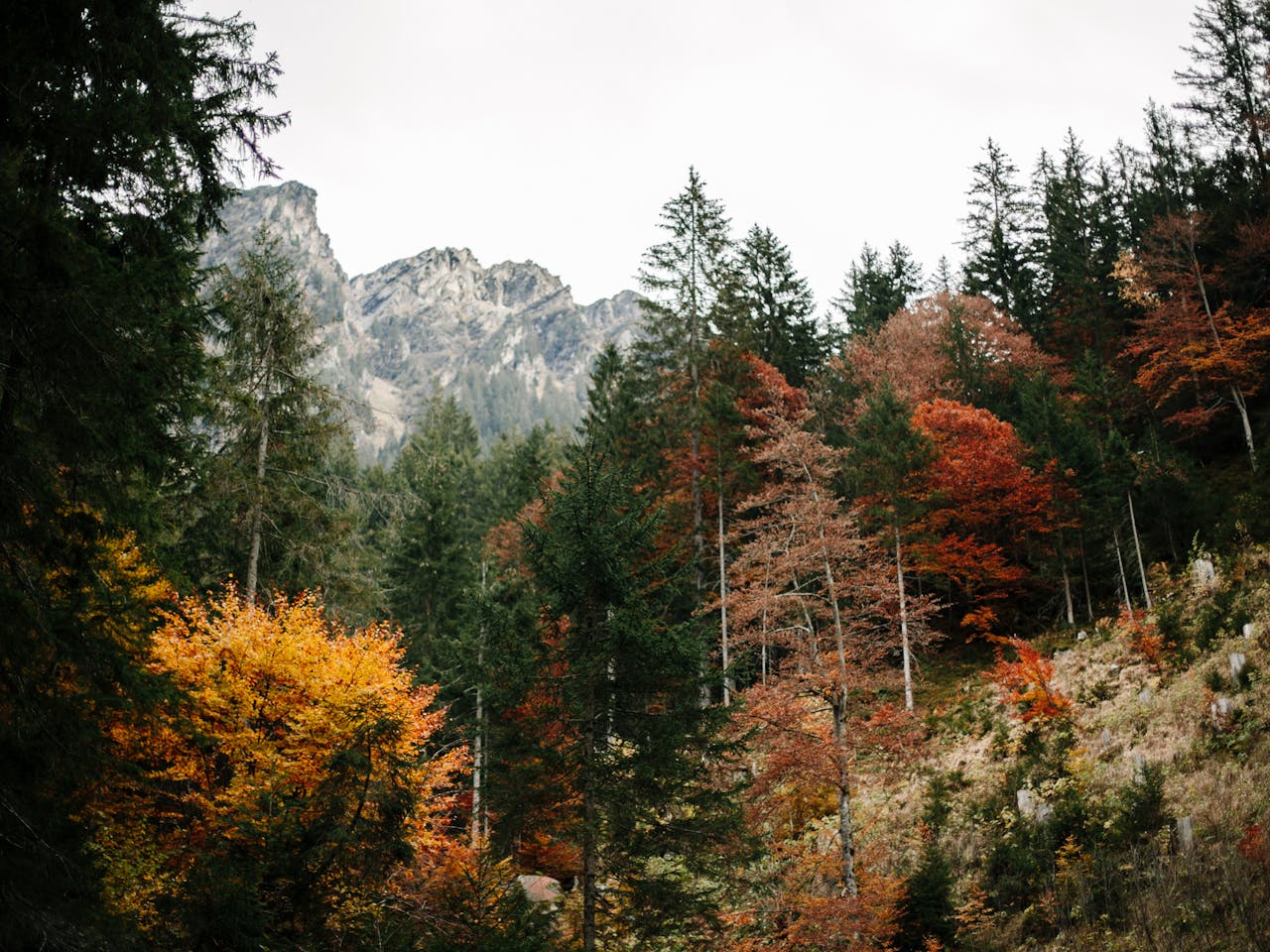 urlaub montafon vorarlberg ganifer wanderung