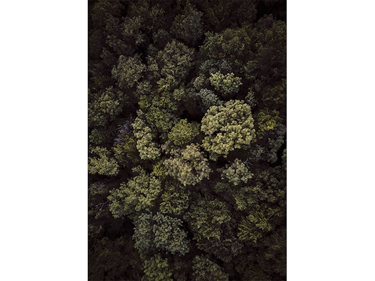 cabinski montafon cabinskiart marius riether