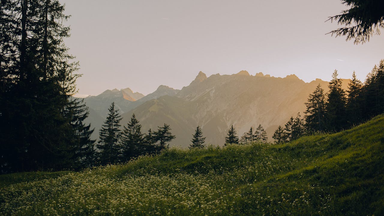 Montafon Sommerurlaub Wandern
