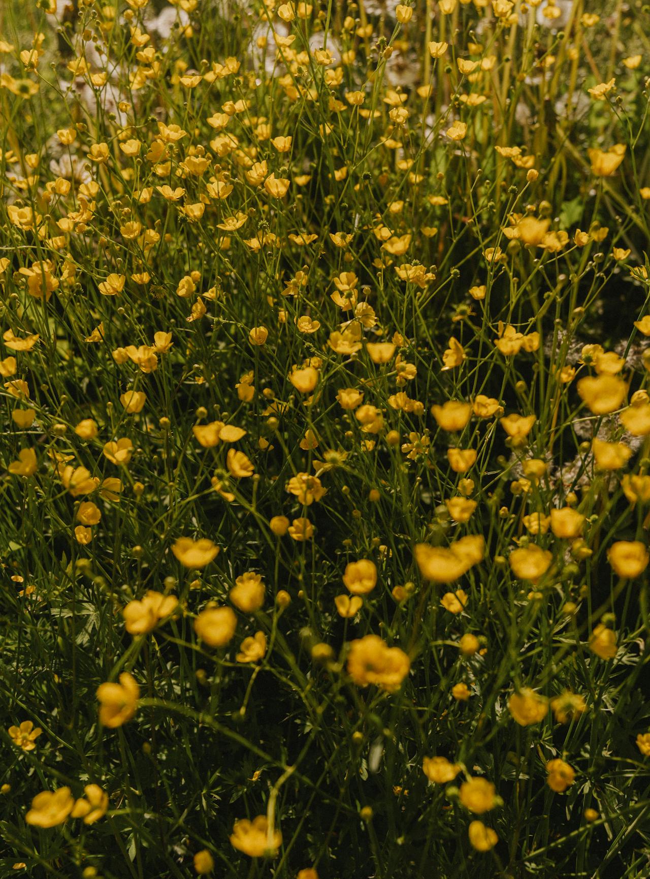 Photos by Bartek Kolaczkowski