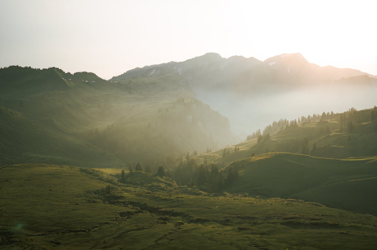 Foto: Sünser Spitze, Lysann Weber