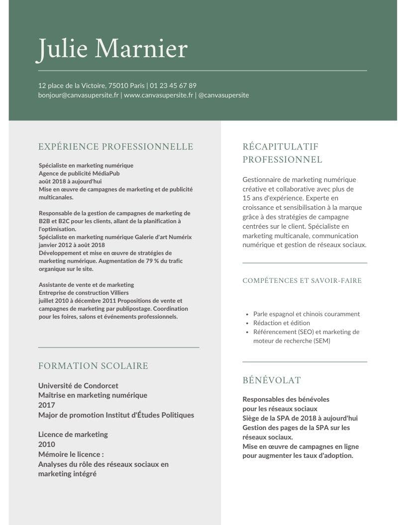 Modèle de CV marketing digital