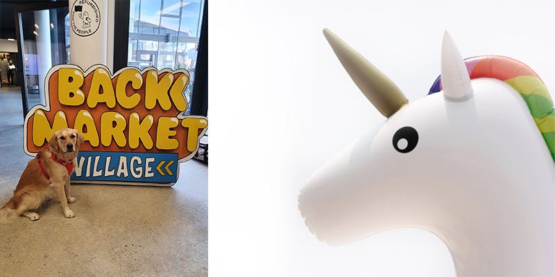 Back Market : comment cette licorne recrute des experts en marketplace et des managers