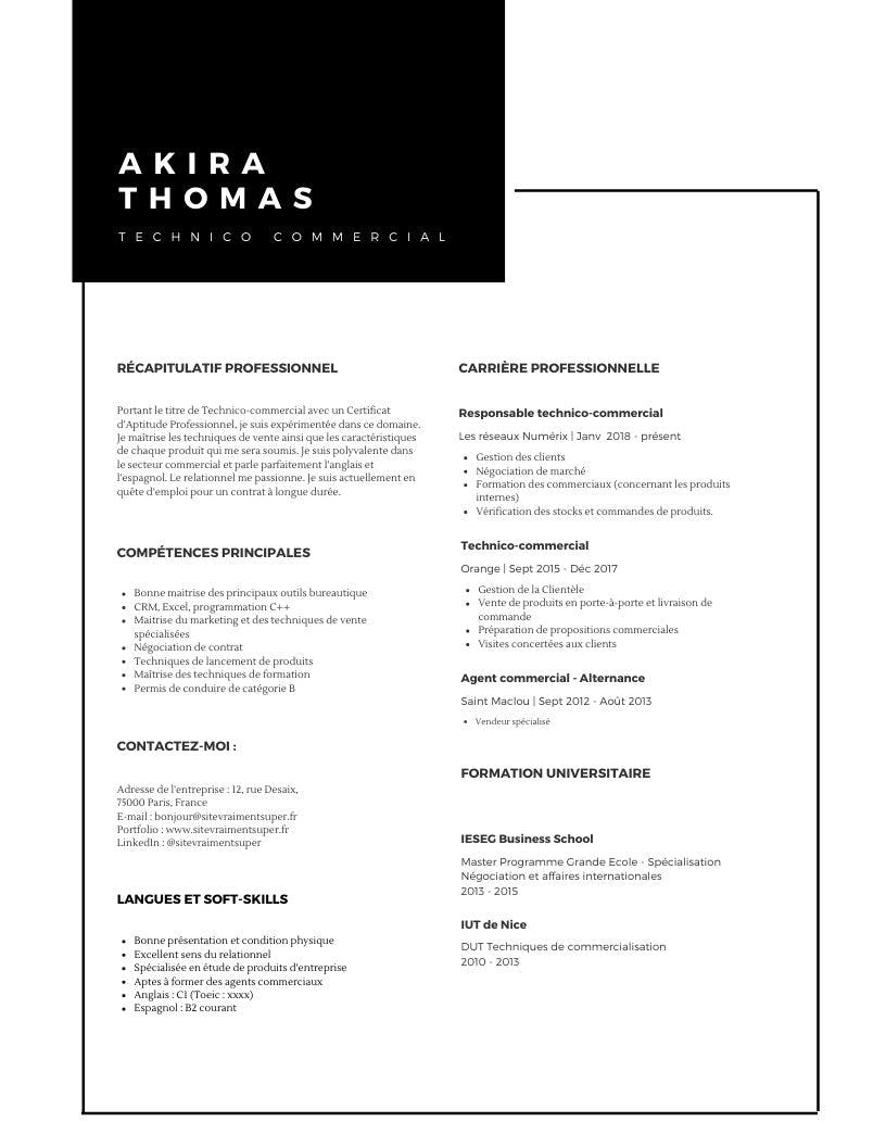Modèle de cv de technico commercial