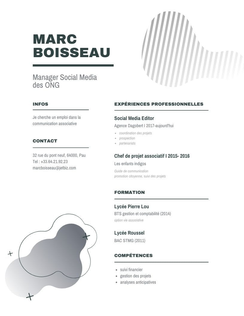 modèle de cv de community manager