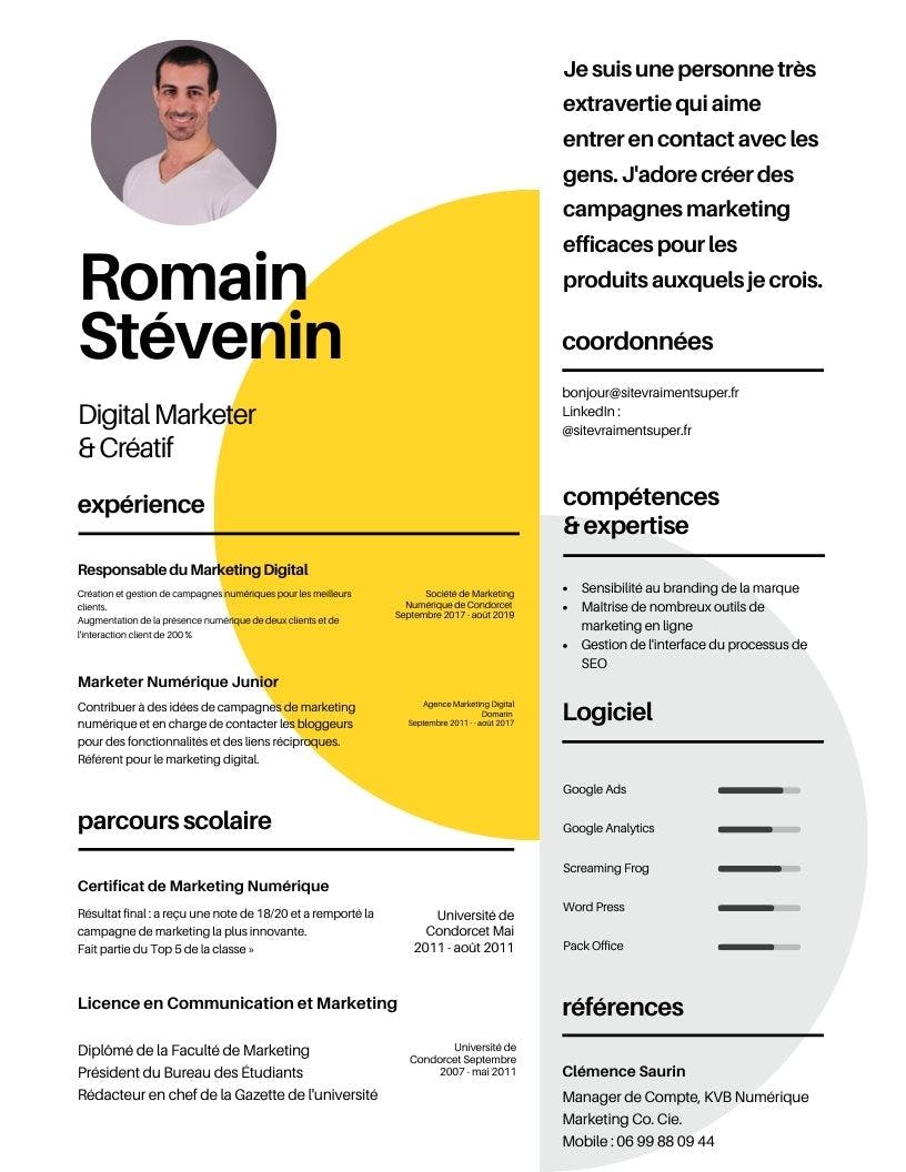 Modèle de CV marketing digital