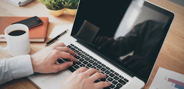 exemple de cv simple 52 exemple de cv simple 21