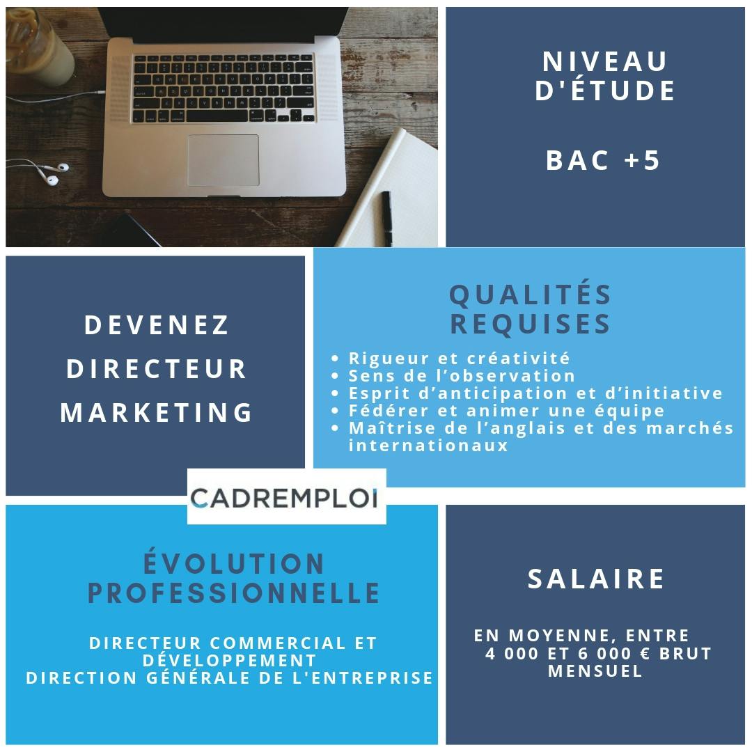 Gaji Direktur Marketing Digital: Faktor-Faktor Penentu dan Prospek Karir