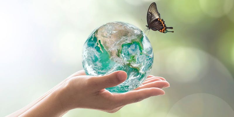 Changer le monde : les 10 métiers les plus recherchés et les mieux payés
